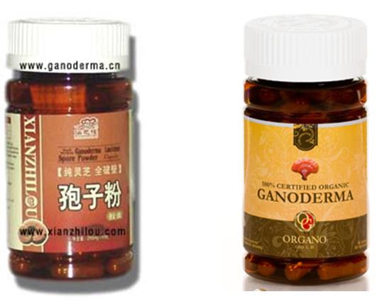 Ganoderma | Organo Gold